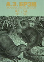 Жизнь животных В 3 томах Том 1 Млекопитающие артикул 6293c.